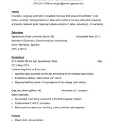 Super Customer Service Resume Examples Template Lab