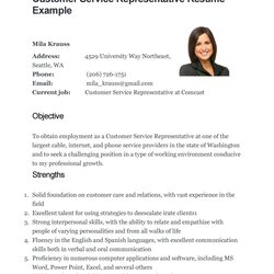 Cool Customer Service Resume Examples Template