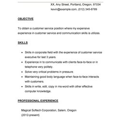 Perfect Customer Service Resume Examples Template