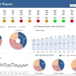 Excel Dashboard Examples Templates Dashboards Visualization Feeding