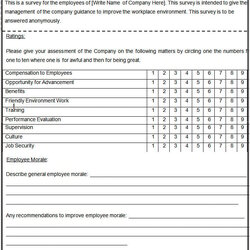 Marvelous Blank Survey Template Free Premium Templates Employee Sample Training Surveys Benefits Democracy