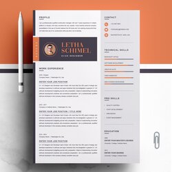 Cool Modern Clean Resume Template Templates Creative Market Professional Curriculum Vitae Cover Designer