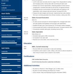 Outstanding Business Resume Template With Examples Skills Tips Templates Executive Designers Level Cascade