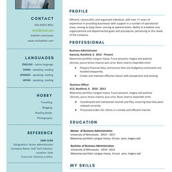 Marvelous Free Business Administrator Resume Template Download