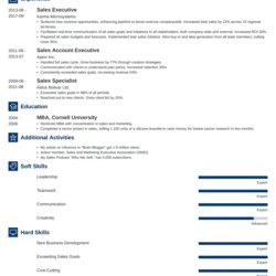 Excellent Business Resume Template With Examples Skills Tips Executive Example Professional Level