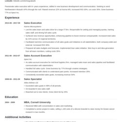 Preeminent Business Resume Template With Examples Skills Tips Executive Example Level