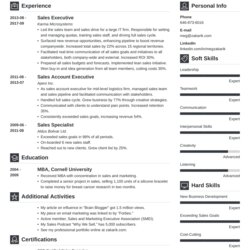 Business Resume Template With Examples Skills Tips Executive Example Professional Level