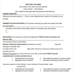 High Quality Business Resume Templates Width