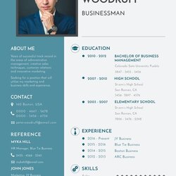 The Highest Quality Business Resume Templates Doc Template Word Format Pages Resumes Premium Docs Creative