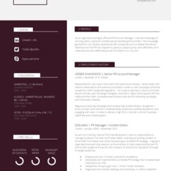 Brilliant Slick And Highly Professional Templates Guru Template Resume Two Creative Sample Cover Interesting