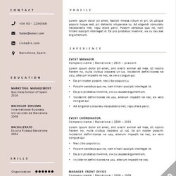 Great Professional Templates By Go Sumo Template Barcelona