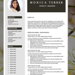 Modern Resume Template Download For Free Professional