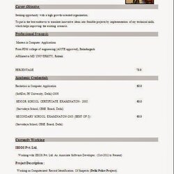 Wonderful Best Example Of Resume Format Formats Download