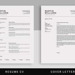 Superlative Professional Resume Templates To Download And Use Right Away