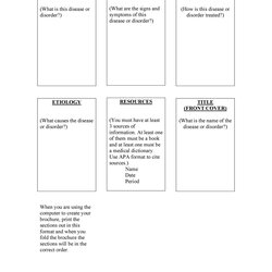 Magnificent Free Pamphlet Templates Word Google Docs Template Kb