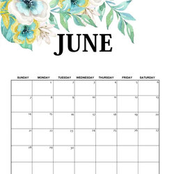 Champion Free Monthly Calendar Template Blank Editable Pin On Templates