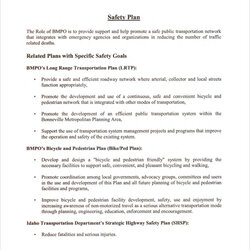 Out Of This World Free Sample Security Plan Templates In Ms Word Google Docs